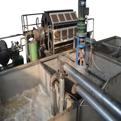 Recyclable Paper Pulp Moulding Machine Big Capacity 1500pcs/h-6000pcs/h