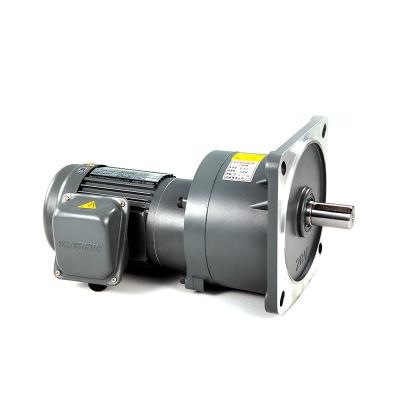 50Hz AC Gear Motor
