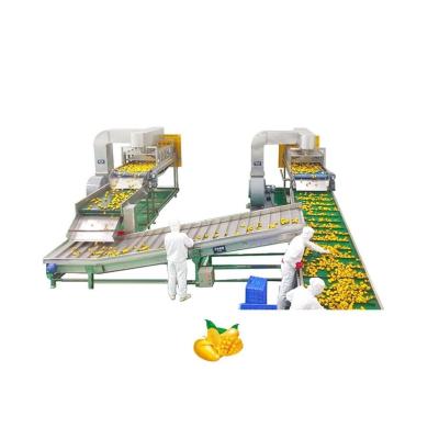 Mango Processing Equipment Mango Juice Processing Plant , Mango Juice Extractor Machine