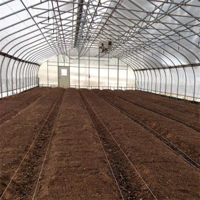 Gothic Arch Side Ventilation Plastic Film Greenhouse Single Span For Agriculture